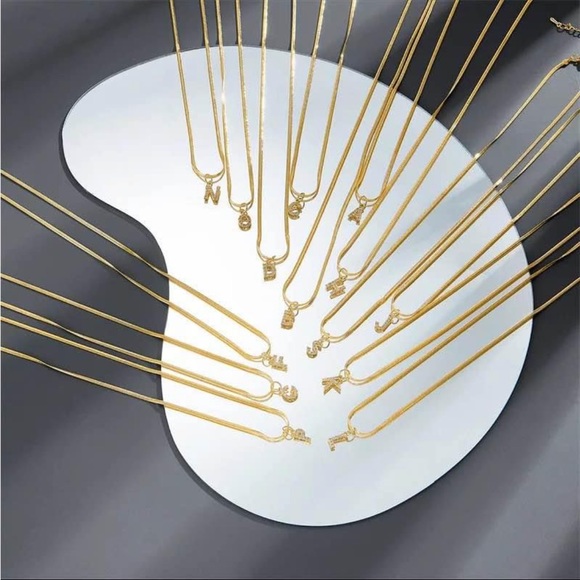 COPY - 18K Herringbone Initial Chain Necklace - Picture 3 of 12